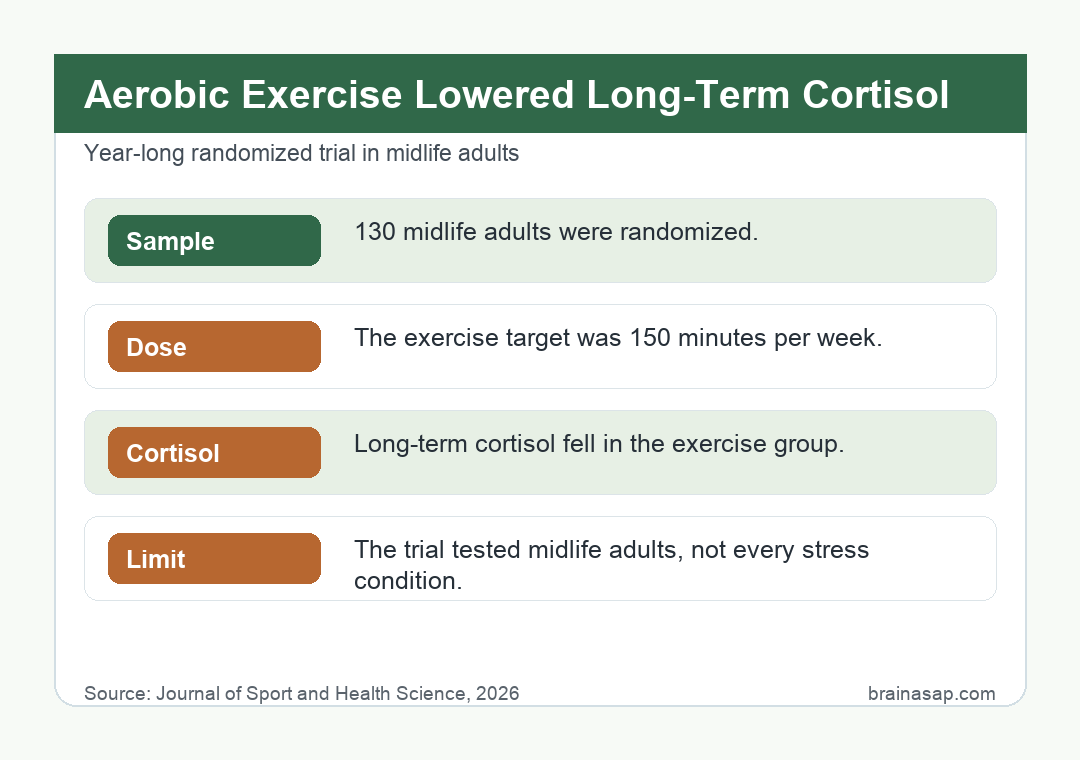 Schematic comparison of long-term cortisol changes between aerobic exercise and control conditions over 12 months in midlife adults