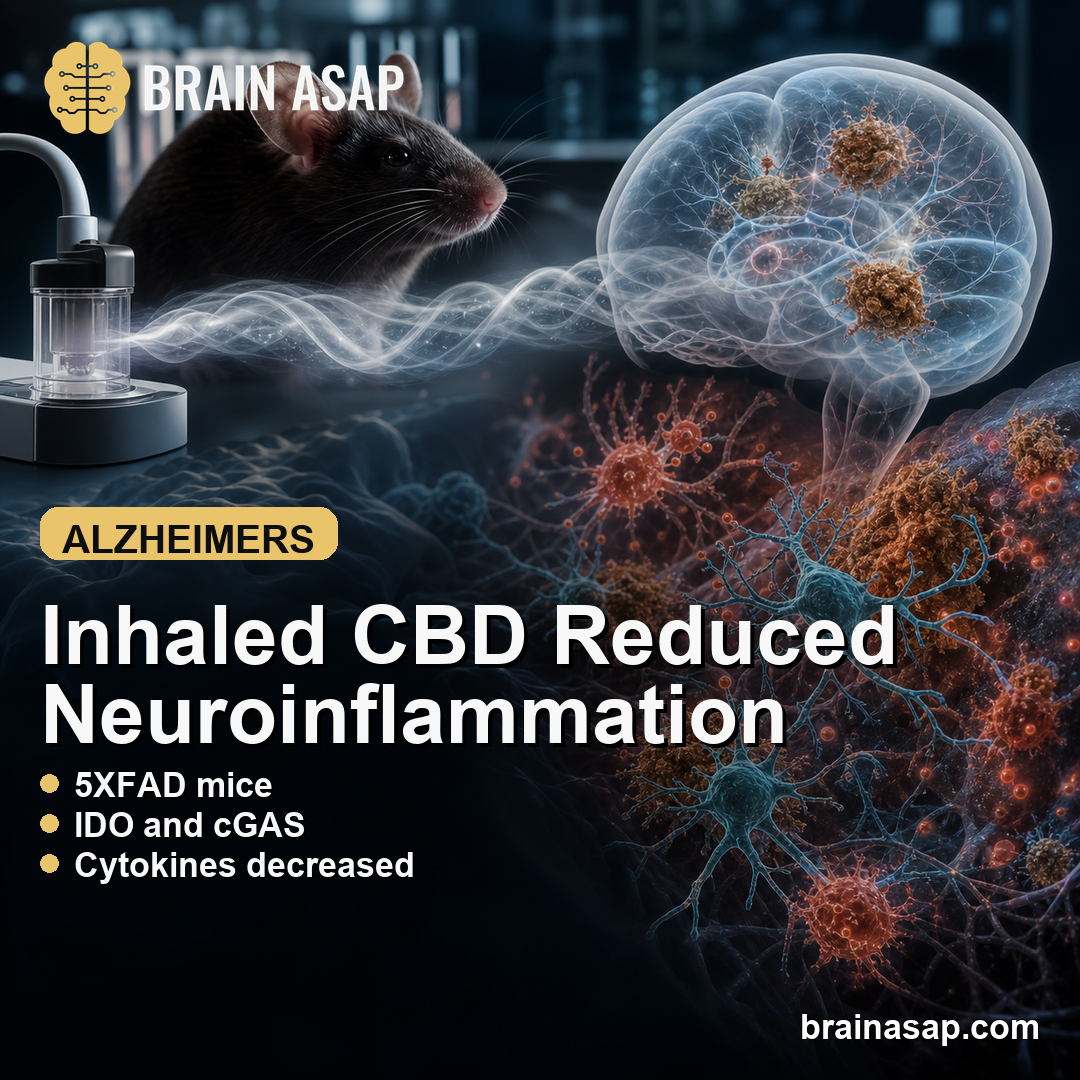 Inhaled CBD Reduced IDO and cGAS Neuroinflammation Signals in Alzheimer Mice