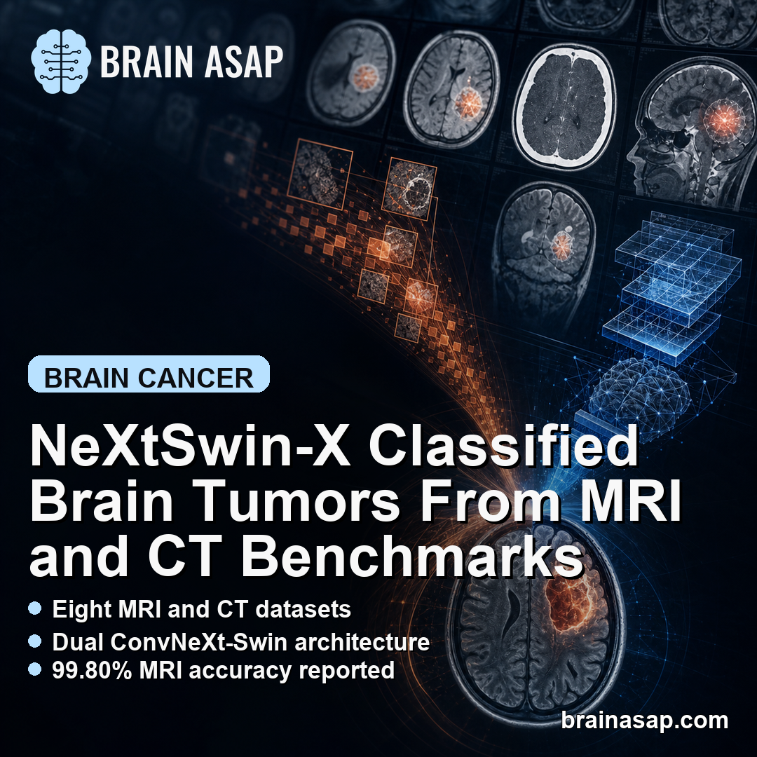 NeXtSwin-X Classified Brain Tumors From MRI and CT Benchmarks