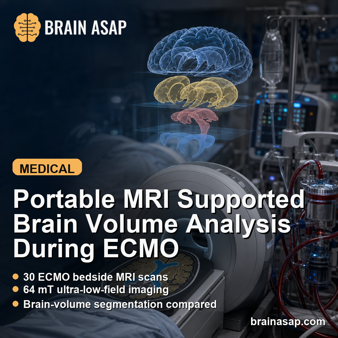 Portable MRI Supported Brain Volume Analysis During ECMO