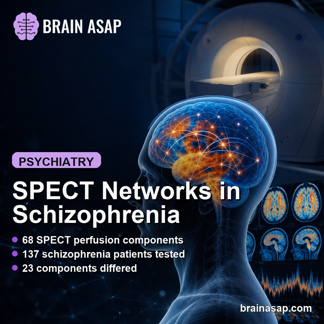 NeuroMark SPECT Template Found Schizophrenia Perfusion Network Differences