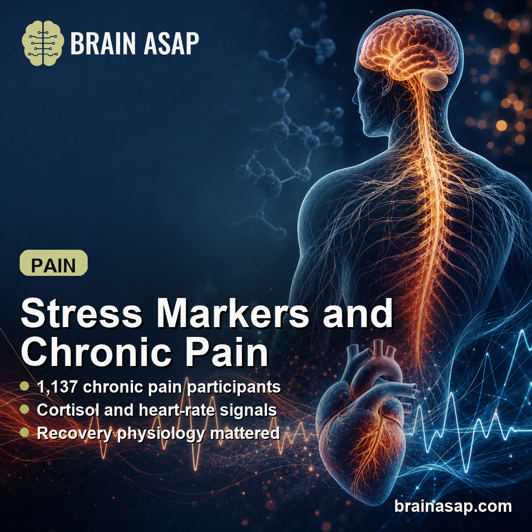 Stress-System Markers Were Linked to Higher Pain Sensitivity in Chronic Primary Pain