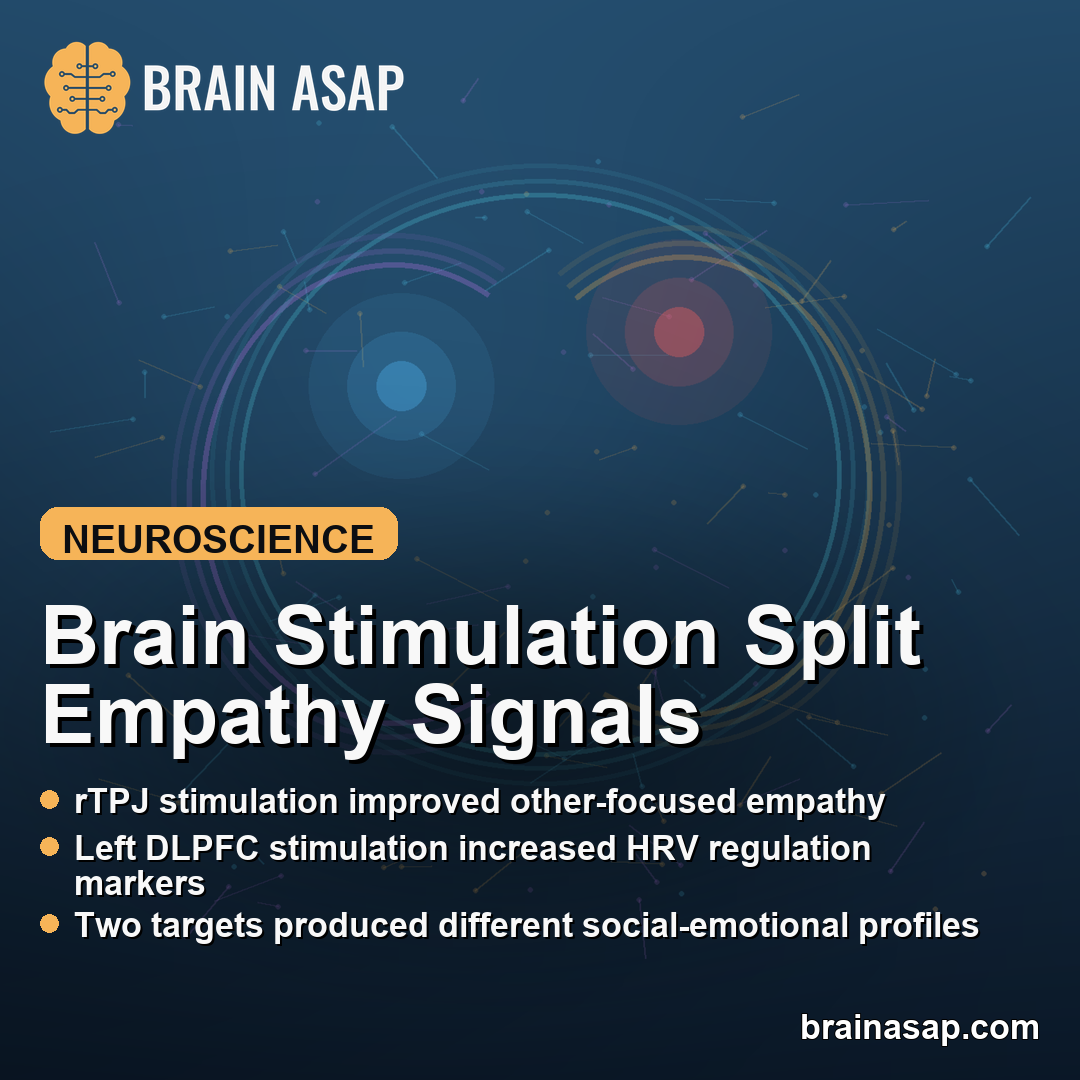 tDCS Over rTPJ and lDLPFC Changed Empathy Differently