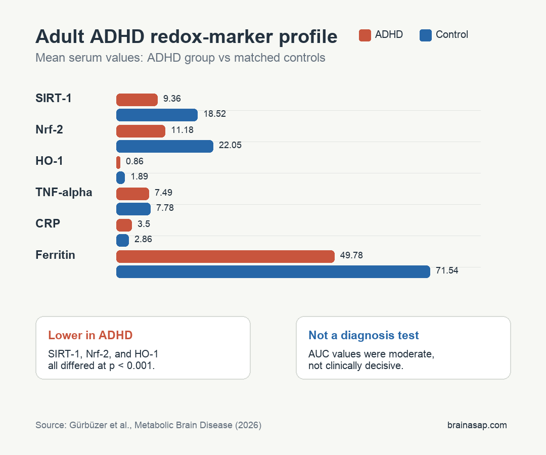 Bar chart comparing adult ADHD and control serum biomarker values for SIRT-1, Nrf-2, HO-1, TNF-alpha, CRP, and ferritin