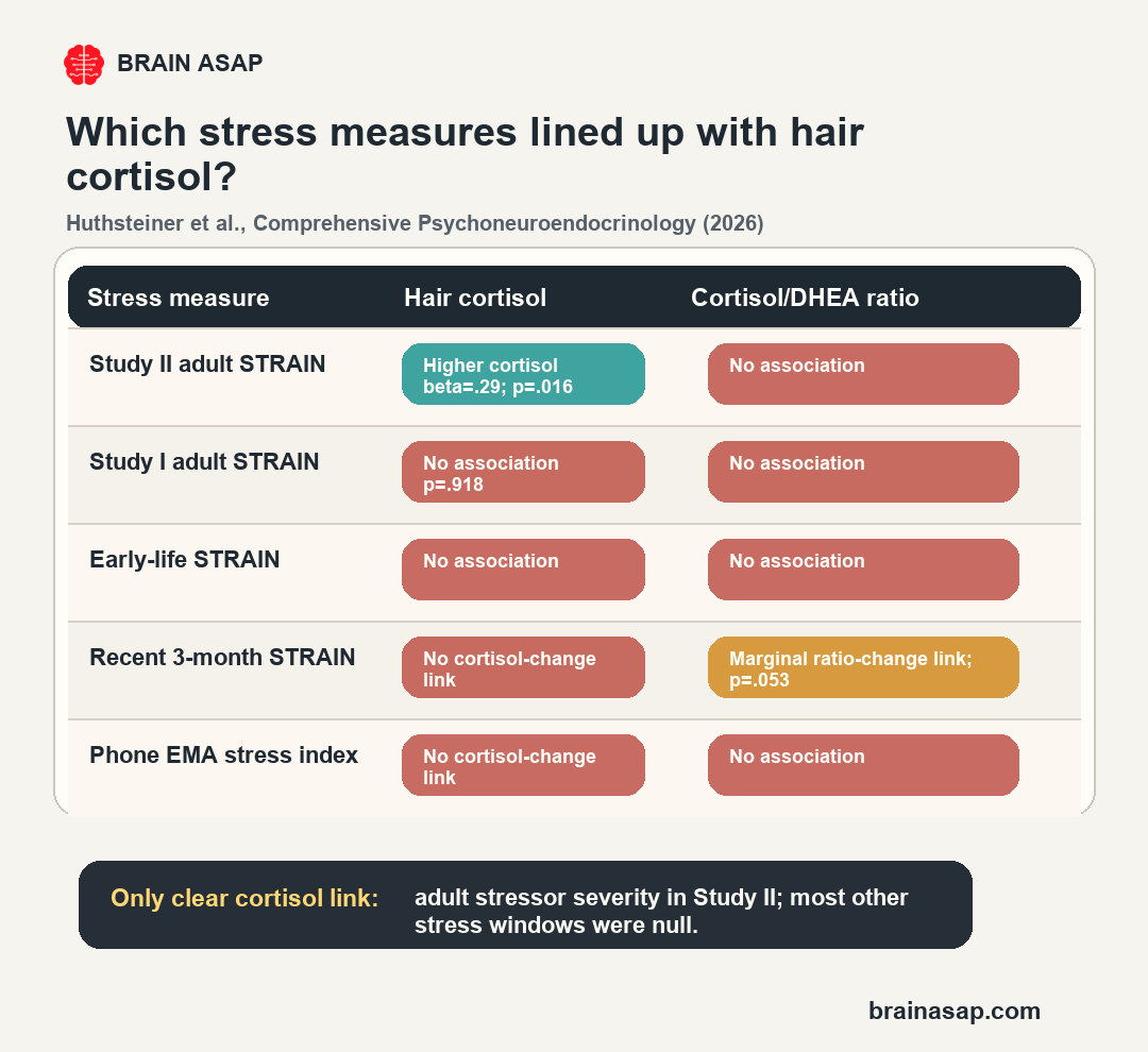 Matrix showing which stress measures were linked to hair cortisol and cortisol DHEA ratio in the Huthsteiner 2026 study