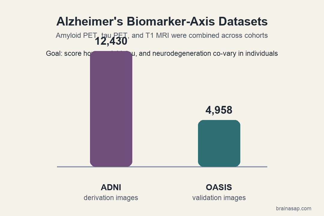 Dataset-size chart showing 12,430 ADNI images and 4,958 OASIS images used in an Alzheimer's biomarker-axis preprint