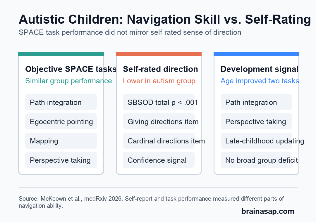 Plain comparison showing similar objective navigation performance but lower self-rated sense of direction in autistic children
