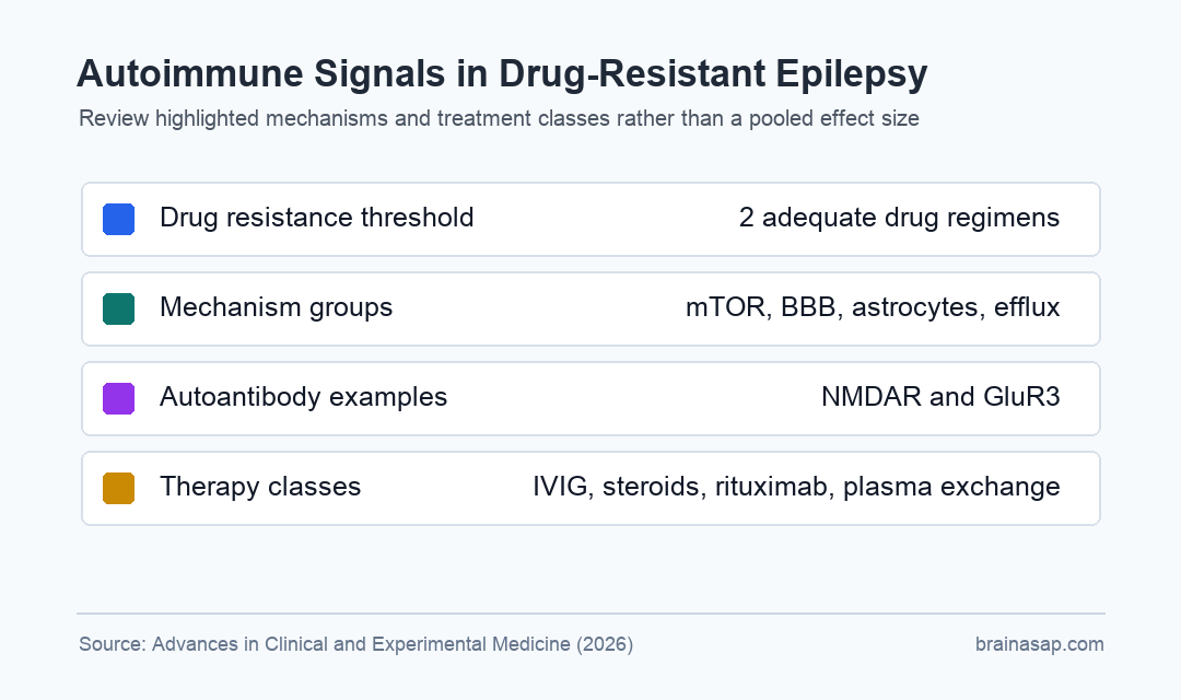 Autoimmune mechanisms linked to drug-resistant focal epilepsy include mTOR, BBB dysfunction, autoantibodies, and immunotherapy options