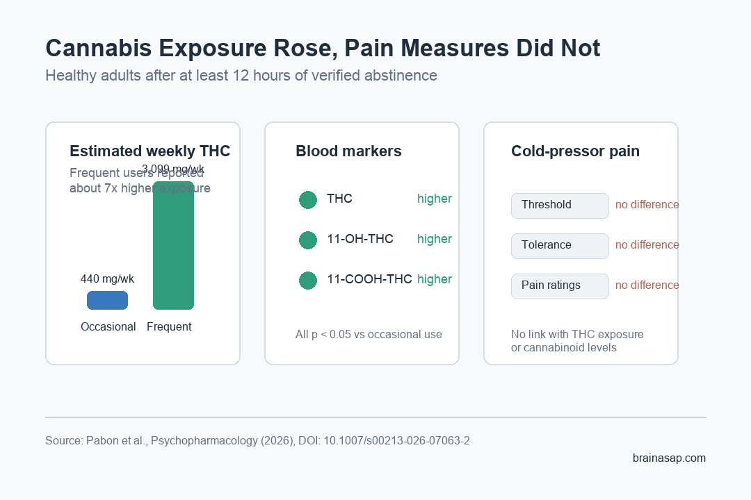 Comparison chart showing higher THC exposure and THC biomarkers but no pain outcome difference during brief cannabis abstinence