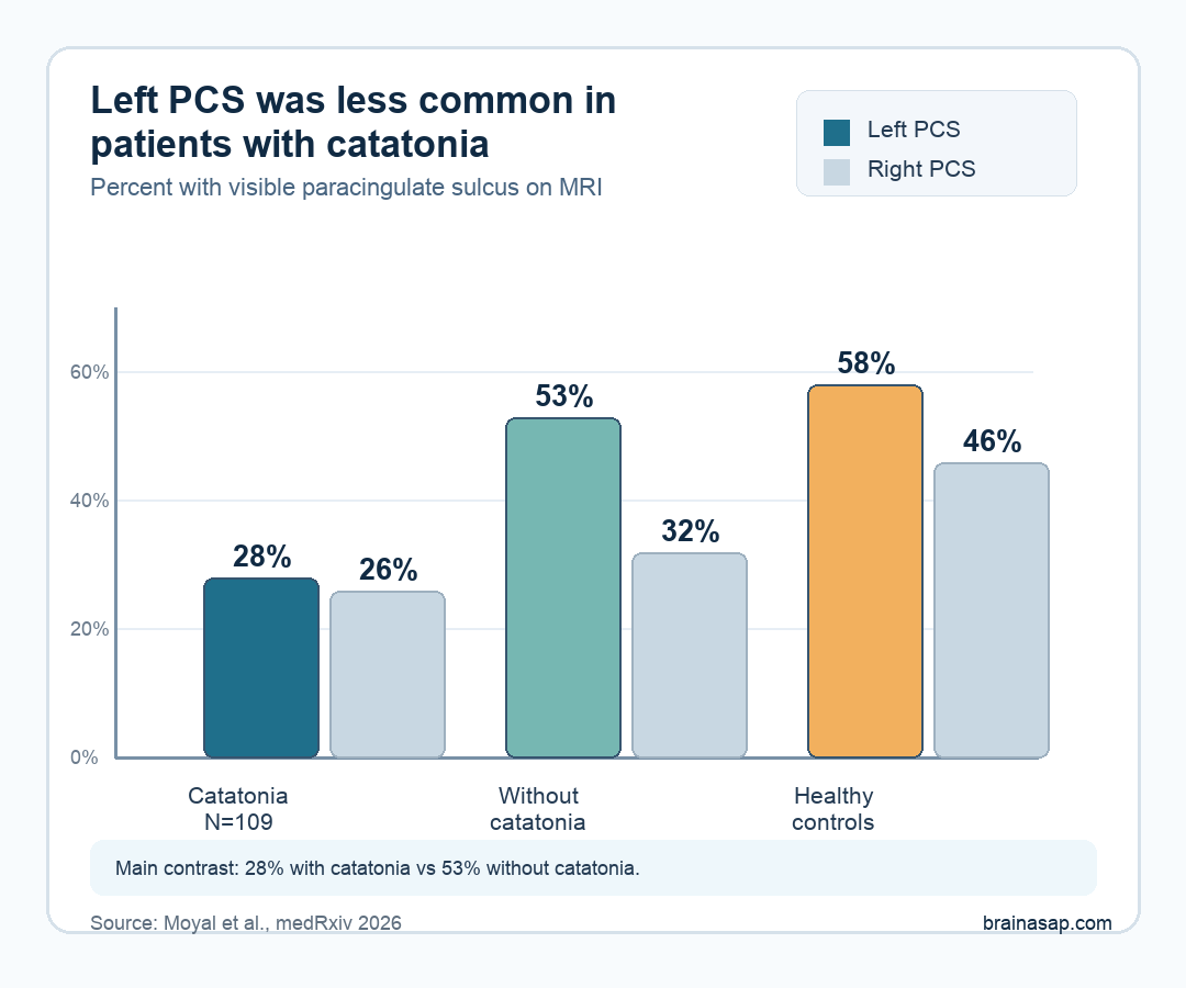 Bar chart showing lower left paracingulate sulcus presence in patients with catatonia than psychiatric patients without catatonia and healthy controls