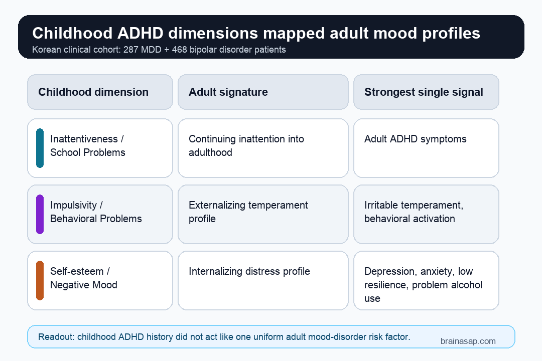 Matrix showing three childhood ADHD dimensions each linked to a distinct adult mood-disorder profile in 755 patients