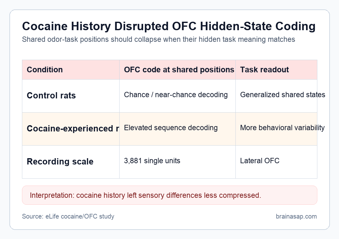 Matrix showing control and cocaine-experienced orbitofrontal cortex coding of hidden states in an odor sequence task