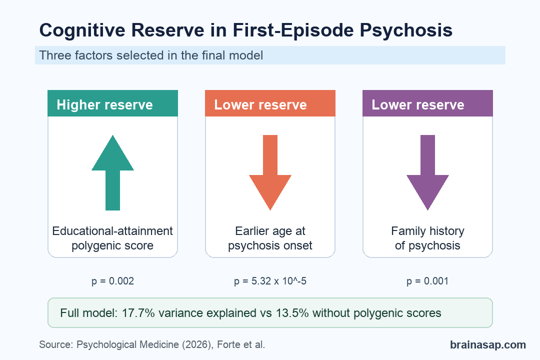 Comparison chart showing three main factors associated with cognitive reserve in first-episode psychosis