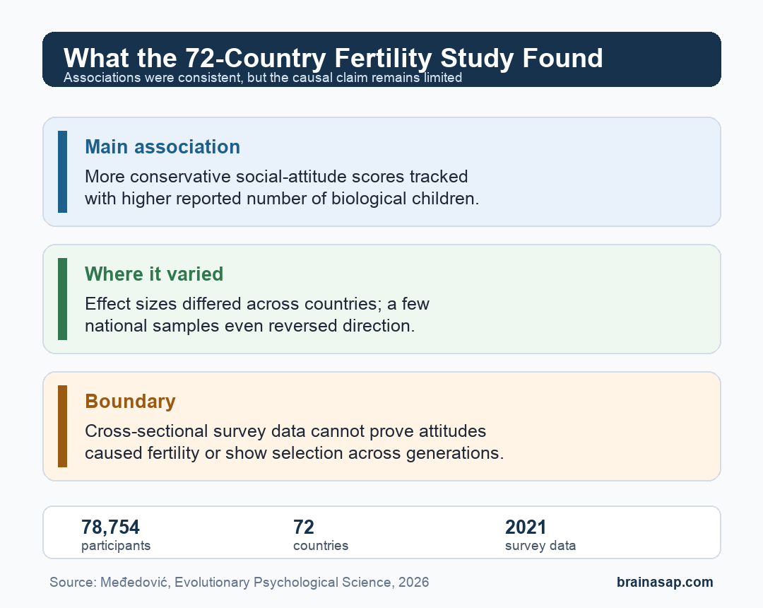 Summary matrix showing conservative-attitude fertility links, country variation, and study limits