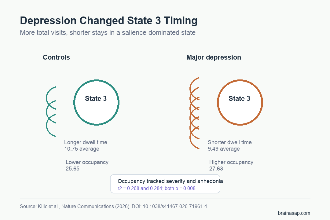 Diagram showing major depressive disorder linked to more frequent but shorter visits to a salience-dominated brain state