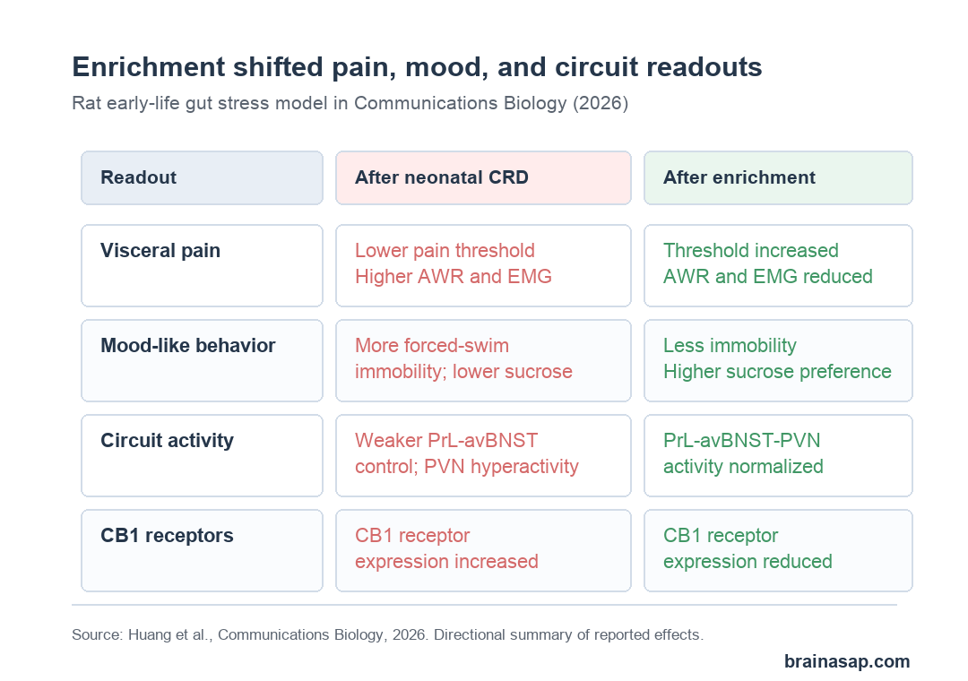 Environmental enrichment improved visceral pain and depression-like behavior in a rat early-life stress model
