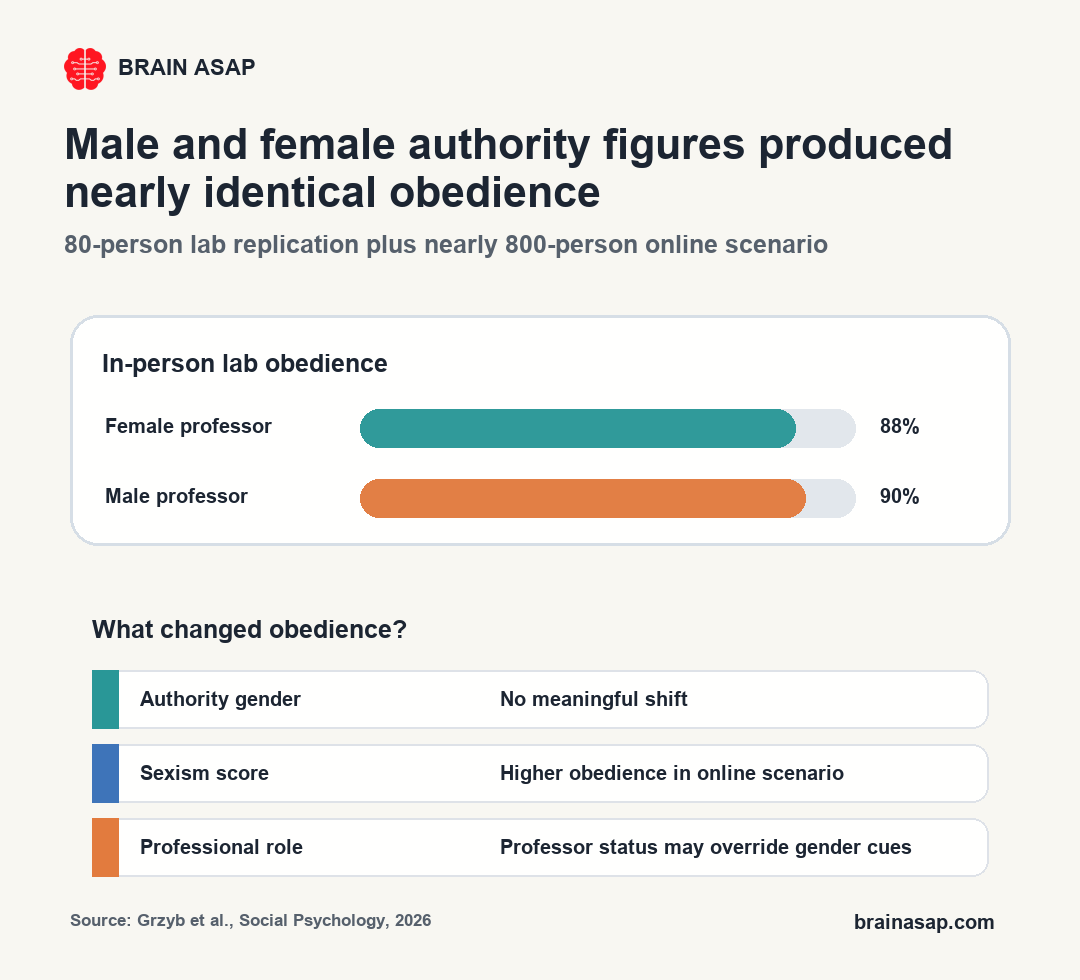 Brain ASAP chart showing nearly identical obedience rates under male and female professors