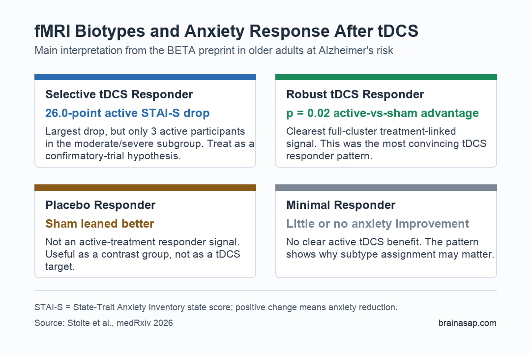 Brain ASAP chart comparing anxiety response patterns across four fMRI biotypes after active and sham tDCS