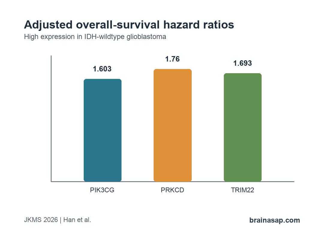 Bar chart showing adjusted overall survival hazard ratios for PIK3CG PRKCD and TRIM22 in IDH-wildtype glioblastoma
