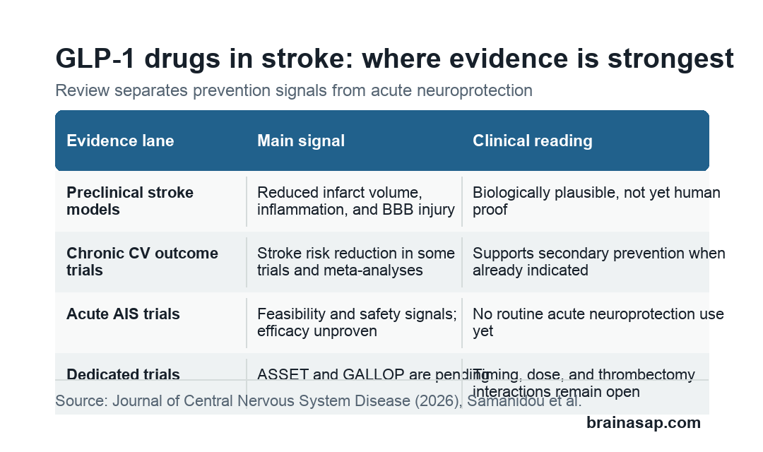 Matrix separating GLP-1 receptor agonist evidence for preclinical stroke models, chronic prevention, acute stroke trials, and pending dedicated trials