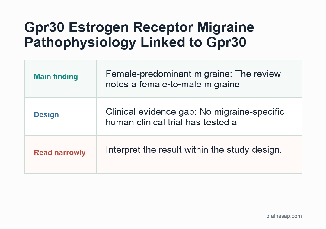 Flow diagram connecting estrogen fluctuation to GPR30, trigeminal ganglion signaling, and migraine-related neuroinflammation and pain sensitization