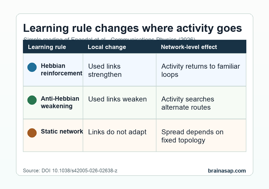 Simple table comparing Hebbian reinforcement, anti-Hebbian weakening, and static network spreading.