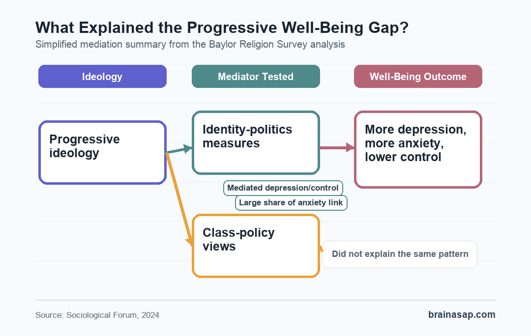 Brain ASAP graphic comparing ideology, identity-politics measures, class politics, and well-being