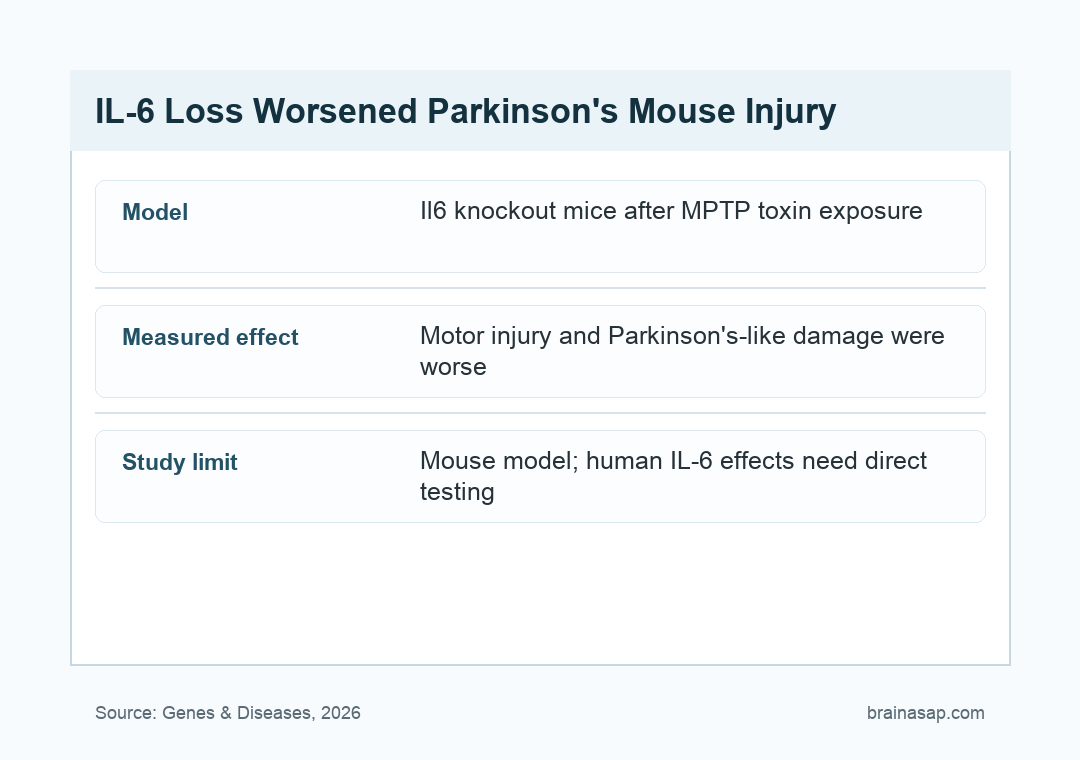 Plain table summarizing Il6 deficiency effects in Parkinson's mouse models