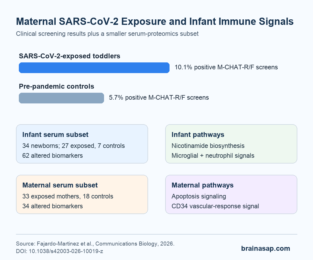 Maternal SARS-CoV-2 exposure, infant autism-risk screening, and immune-protein findings