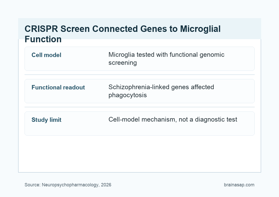 Simple matrix showing schizophrenia-linked microglia gene targets and their effects on phagocytosis, morphology, and transcription