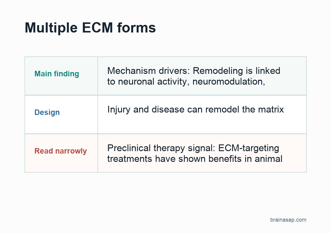 Concept map showing neural extracellular matrix roles in perineuronal nets, trauma and stroke, chronic neurological disorders, and ECM-targeting therapies