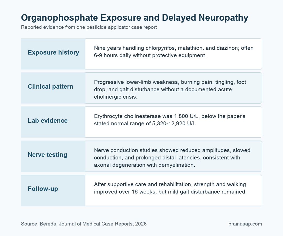 Timeline summarizing exposure, delayed neuropathy signs, nerve testing, and recovery after supportive care