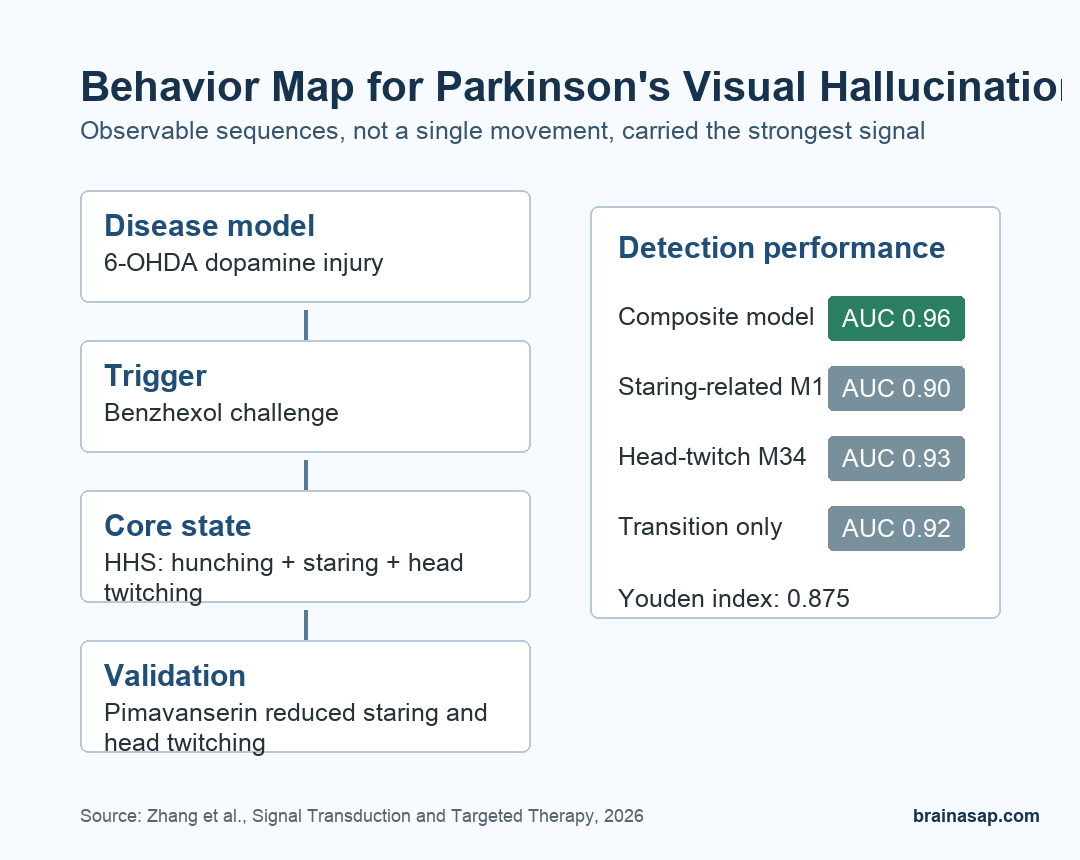 Simple matrix showing the Parkinson's visual hallucination mouse-model behavior map and AUC values