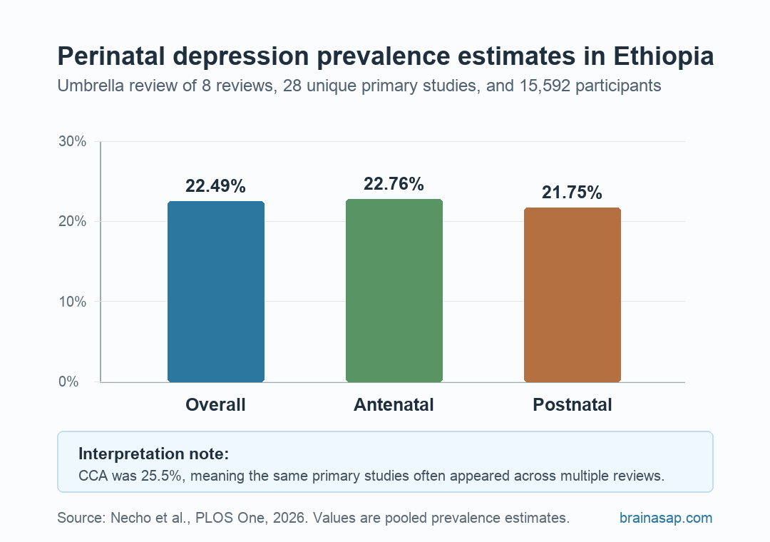 Bar chart showing 22.49% overall, 22.76% antenatal, and 21.75% postnatal perinatal depression prevalence estimates in Ethiopia