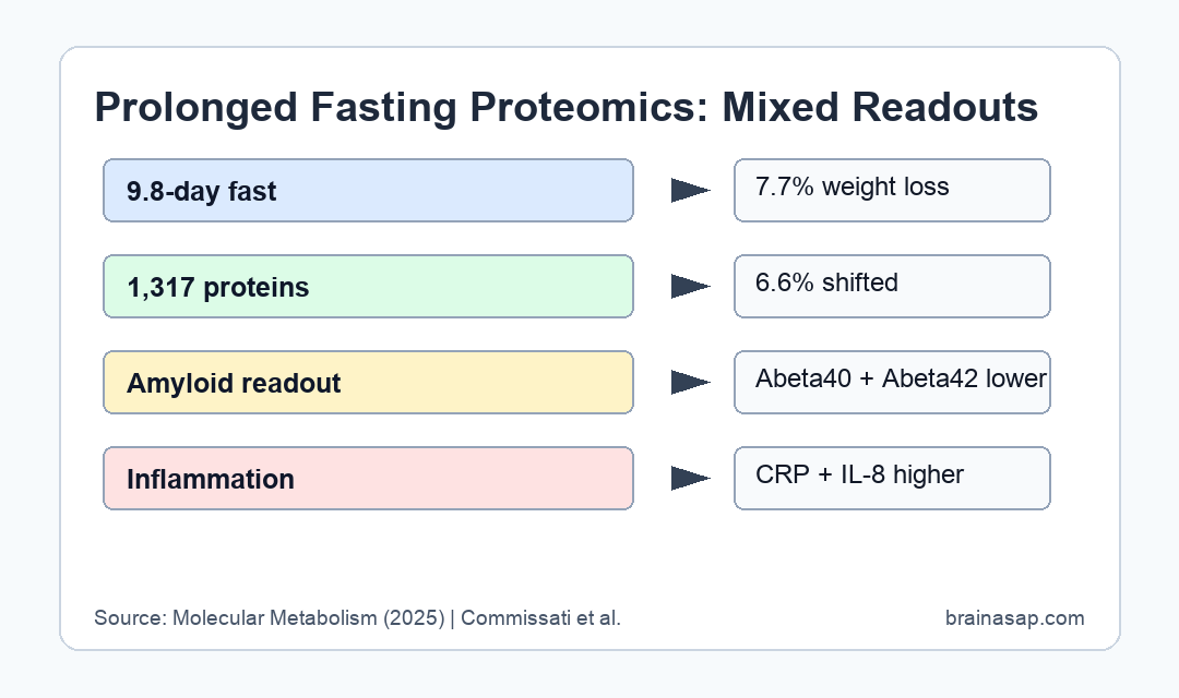 Brain ASAP visual comparing fasting benefits and inflammatory signals in a human proteomics study