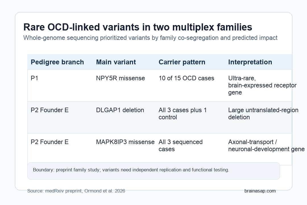 Table summarizing rare OCD-linked variants found in two families