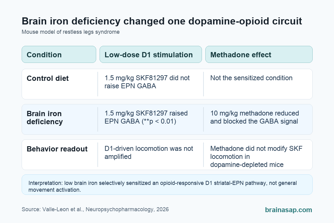 Simple matrix showing how brain iron deficiency changed dopamine and opioid-sensitive GABA signaling in a mouse restless legs syndrome model