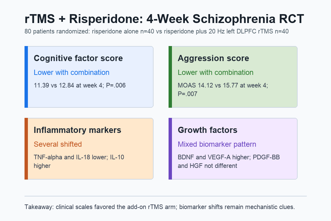 rTMS plus risperidone schizophrenia outcome matrix