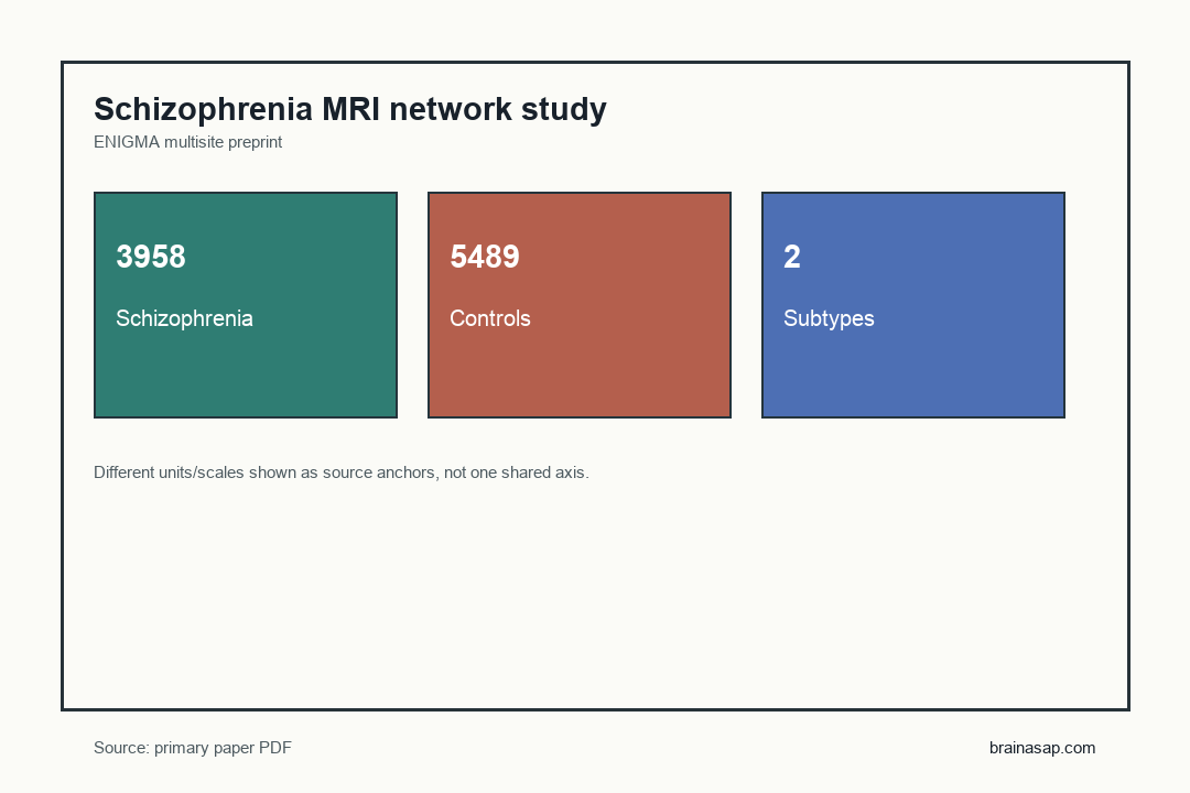 Schizophrenia cortical network study sample and findings