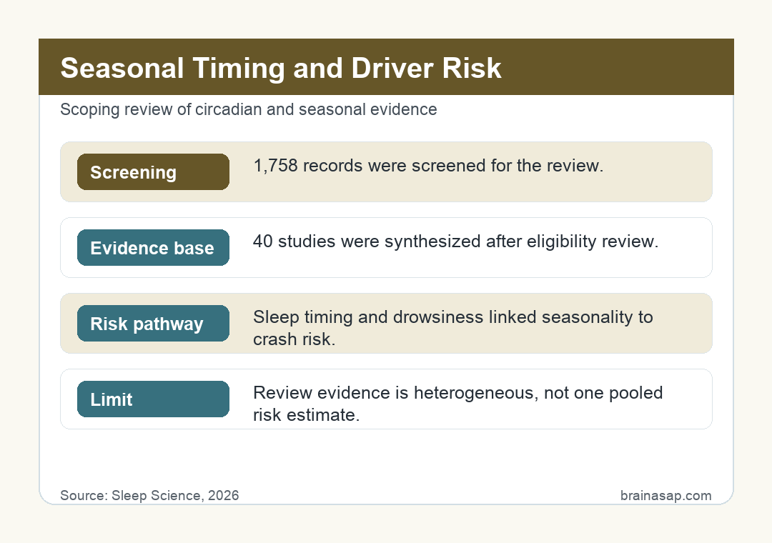 BrainASAP timeline-style visual linking seasonal timing to circadian disruption, drowsiness, and crash risk