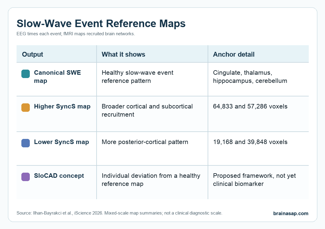 Simple comparison matrix showing canonical slow-wave event reference maps, higher SyncS maps, lower SyncS maps, and the proposed SloCAD deviation concept