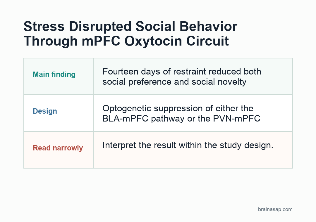 Simple matrix showing control, acute stress, chronic stress, and circuit suppression effects on social behavior and mPFC coding