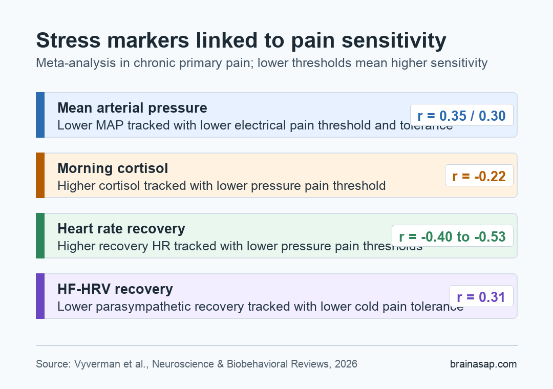Stress-system markers linked to higher pain sensitivity in chronic primary pain