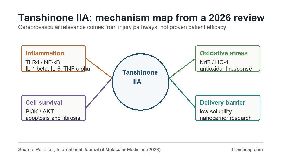 Tanshinone IIA review summarized inflammation, oxidative stress, cell survival, and delivery mechanisms in cerebrovascular disease research