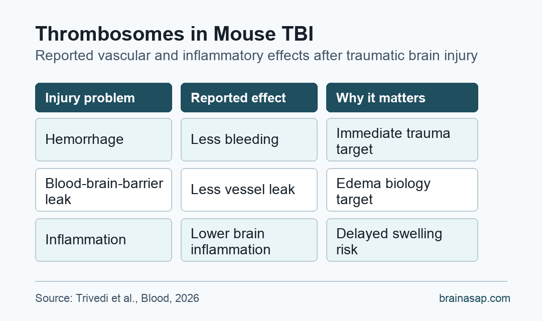 Comparison matrix showing that traumatic brain injury involves bleeding and later vessel leak, while Thrombosomes were reported to reduce hemorrhage, leak, and inflammation in mice.