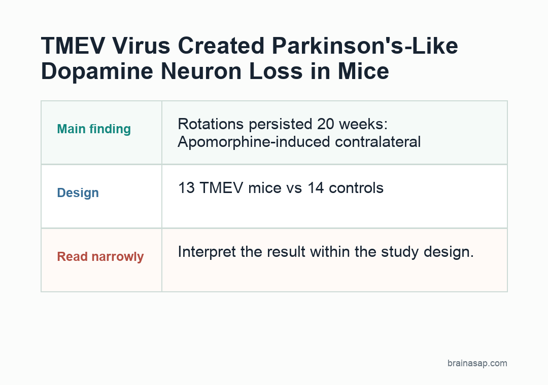 Timeline showing TMEV injection into the substantia nigra followed by motor and dopamine-neuron evidence in mice