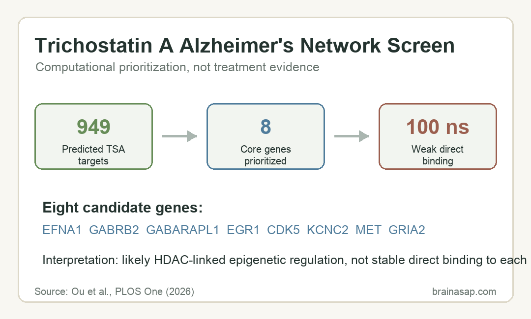 Computational workflow linking trichostatin A targets to eight Alzheimer’s candidate genes and weak direct binding in simulations
