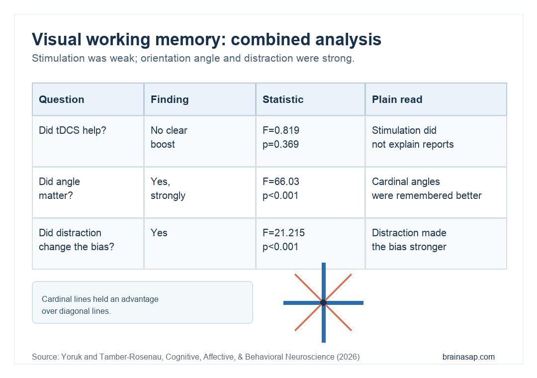 Simple evidence matrix showing tDCS null effects and the stronger oblique effect under distraction