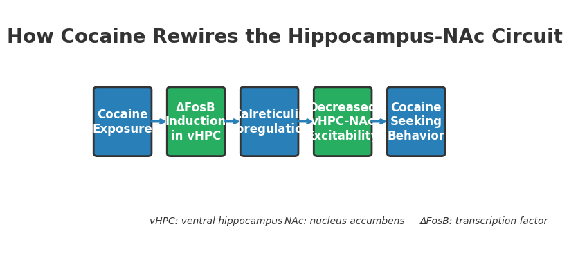FosB and calreticulin suppress hippocampus-accumbens excitability during cocaine addiction