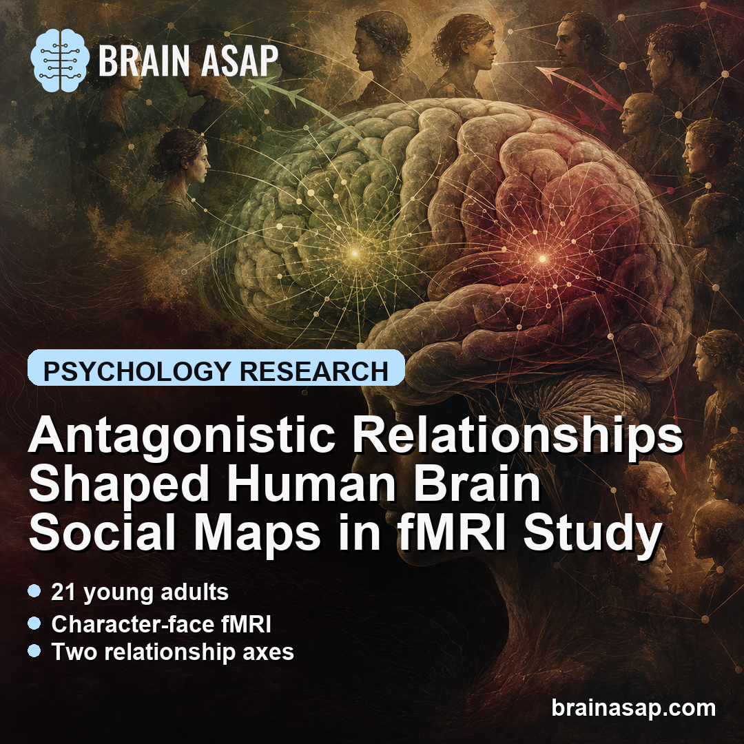 Antagonistic Relationships Shaped Human Brain Social Maps in fMRI Study